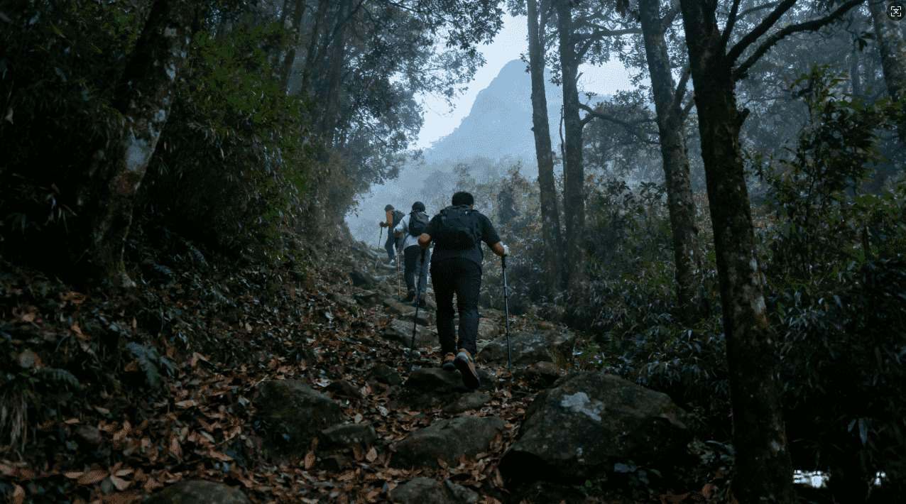 风驰加速器的性能表现和用户评价分析